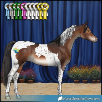 Horse Color:Brown Tobiano 