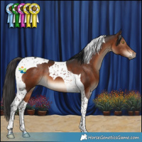 Horse Color:Brown Tobiano 