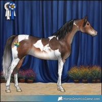 Horse Color:Brown Tobiano
