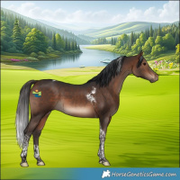 Horse Color:Bay Tobiano 
