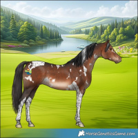 Horse Color:White Spotted Brown Tobiano 