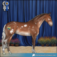Horse Color:White Spotted Silver Brown Tobiano 
