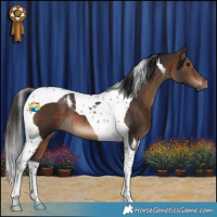 Horse Color:Bay Tobiano 