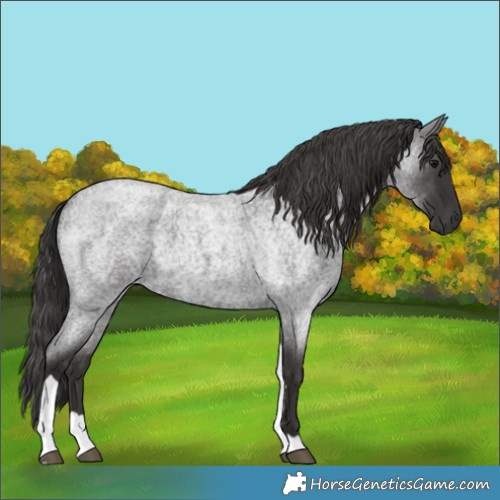 Horse Color:Smoky Blue Roan Tobiano 