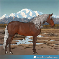 Horse Color:Silver Brown