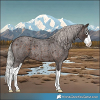 Horse Color:Silver Brown Roan Splash 