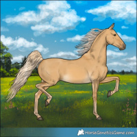 Horse Color:Palomino Dun 