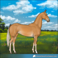 Horse Color:Palomino 