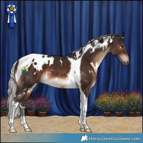 Horse Color:White Spotted Silver Brown Tobiano 