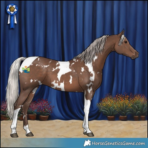 Horse Color:White Spotted Silver Black Tobiano 