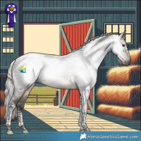 Horse Color:Gray Silver Brown Dun Tobiano