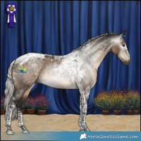 Horse Color:Gray Silver Brown Dun Tobiano 