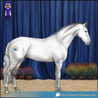 Horse Color:Gray Silver Brown Dun Tobiano 