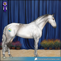 Horse Color:Gray Silver Brown Dun Tobiano 