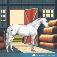 Horse Color:Gray White Spotted Silver Smoky Grullo Pearl Splash Tobiano Appaloosa 