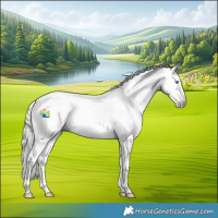 Horse Color:Gray White Spotted Silver Smoky Grullo Pearl Splash Tobiano Appaloosa 