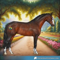 Horse Color:Brown Rabicano