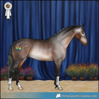 Horse Color:Gray Bay Rabicano