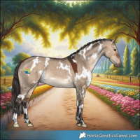 Horse Color:White Spotted Bay Dun 