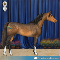 Horse Color:Buckskin 