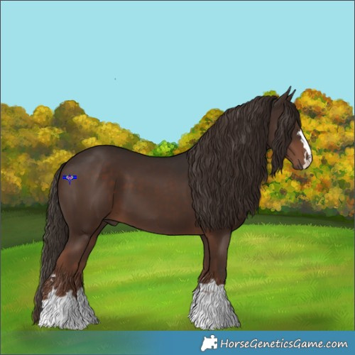 Horse Color:Liver Chestnut 