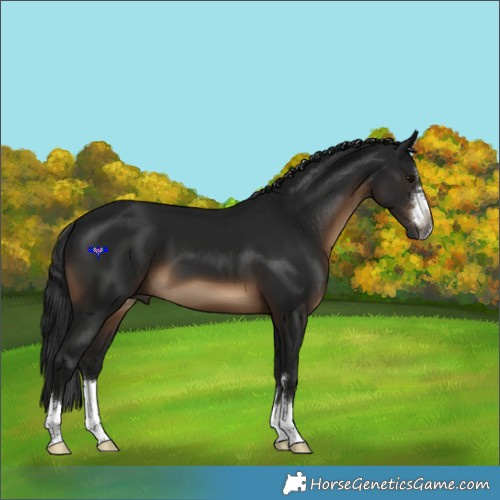 Horse Color:Gray Brown 