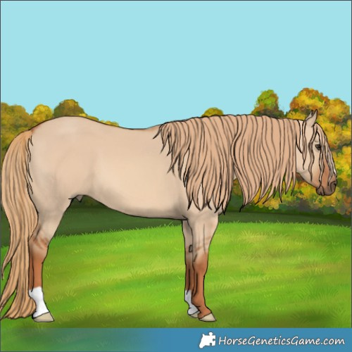 Horse Color:Red Dun 