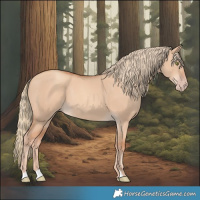 Horse Color:Gold Champagne Dun 