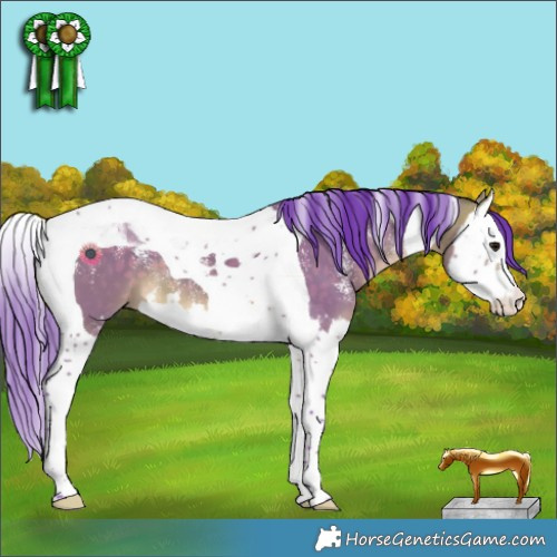 Horse Color:Powder White Watercolor Bay Dun Splash Tobiano 