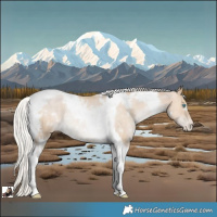 Horse Color:White Spotted Silver Smoky Black Pearl Tobiano Appaloosa Rabicano