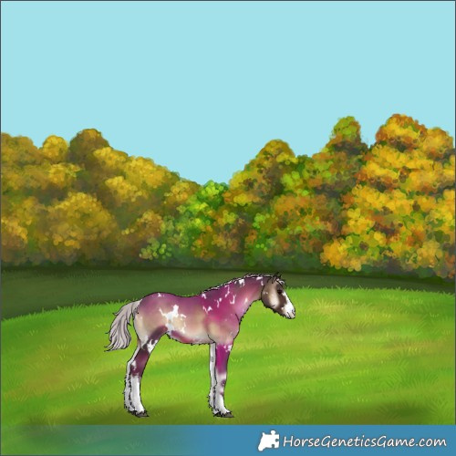 Horse Color:White Spotted Silver Blue Onyx 