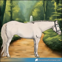 Horse Color:Smoky Creme