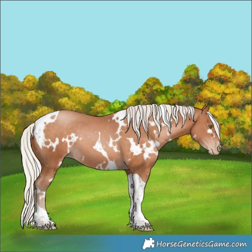 Horse Color:White Spotted Silver Brown Pearl Tobiano Rabicano 