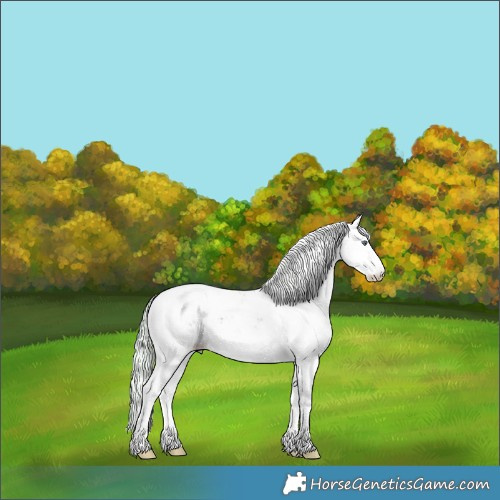 Horse Color:Watercolor Silver Brown Chinchilla Ice Sabino 