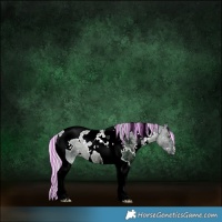 Horse Color:Painted Watercolor White Spotted Silver Black Chinchilla Ice Tobiano