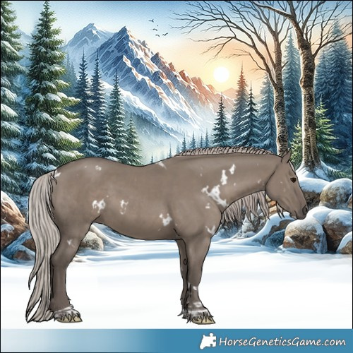 Horse Color:White Spotted Silver Grullo Tobiano Rabicano 