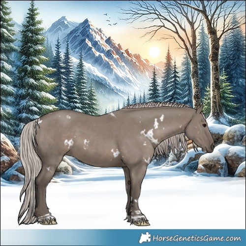 Horse Color:White Spotted Silver Grullo Tobiano Rabicano 