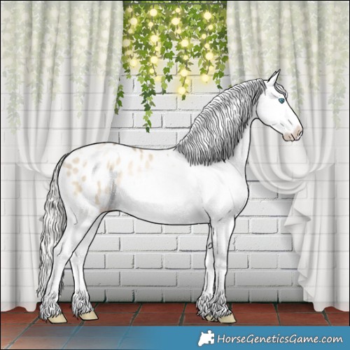 Horse Color:Silver Buckskin Snowdrop Dun Tobiano Appaloosa Rabicano 