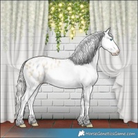 Horse Color:Silver Buckskin Snowdrop Dun Tobiano Appaloosa Rabicano