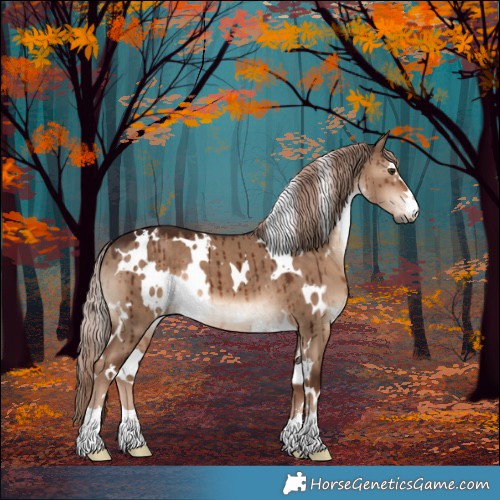 Horse Color:White Spotted Liver Red Dun Brindle 