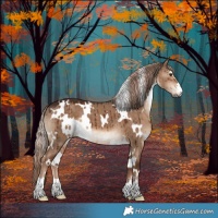 Horse Color:White Spotted Liver Red Dun Brindle 