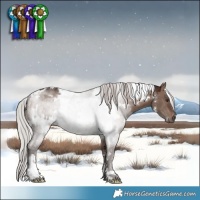 Horse Color:White Spotted Silver Brown Dun Mushroom