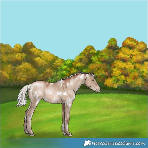 Horse Color:White Spotted Silver Brown Pearl Dun Mushroom 