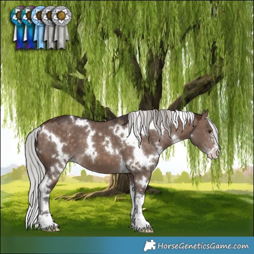 Horse Color:White Spotted Silver Brown Dun Mushroom Sabino 