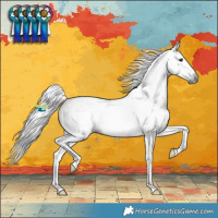 Horse Color:Gray Bay Roan Splash Rabicano 