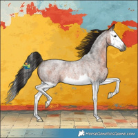 Horse Color:Gray Bay Roan Splash Rabicano 