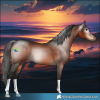 Horse Color:Gray Bay 