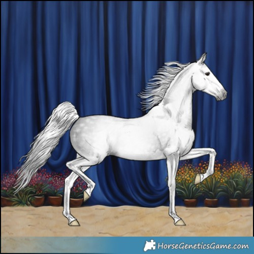 Horse Color:Gray Smoky Black Splash 