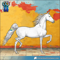 Horse Color:Gray Palomino Splash 