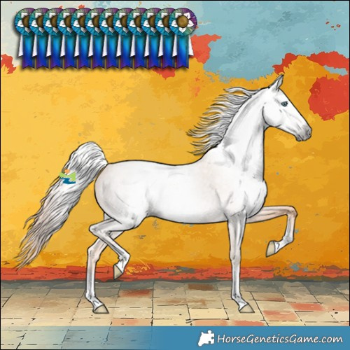 Horse Color:Gray Smoky Creme Roan Rabicano 